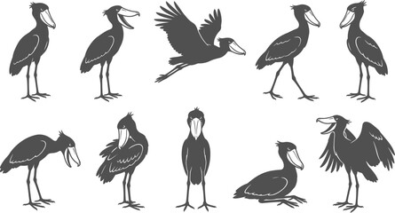 Obraz premium Vector silhouettes of shoebill stork birds standing and flying on transparent background