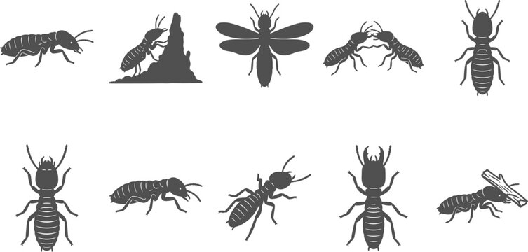 Termite insect silhouette collection depicting workers soldiers alates and mound building activities