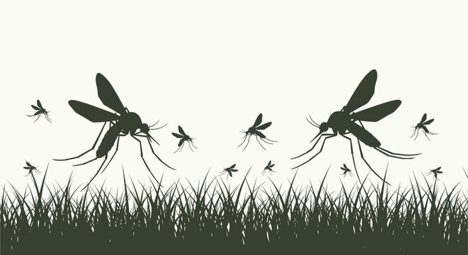Swarm of mosquitoes flying over tall grass silhouette illustration for pest control and insect awareness campaigns.
