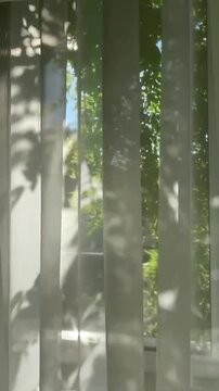 Sunlight filters through sheer window blinds and lush green leaves, creating a peaceful and serene atmosphere with natural light and dancing shadows.