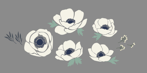 White Anemone Flowers Vector Elements Set. Hand Drawn Stylized Floral Clipart Collection with Isolated Anemones, Mint Leaves, and Delicate Berries for Wedding Branding and Graphic Design © AnnRozz