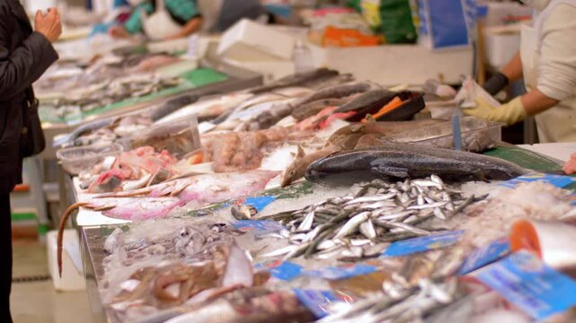 Raw Fresh Fish and Premium Seafood Arranged Beautifully on Ice Display. Assortment of Daily Catch Offered at Traditional European Indoor Food Market Stall Counter 4k