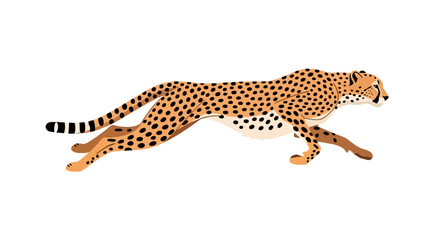 Fast cheetah running at full speed across open ground © deril