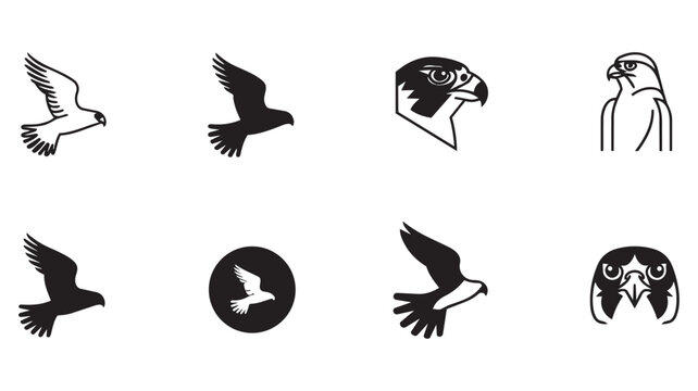  falcon and hawk bird icons and silhouettes Vector