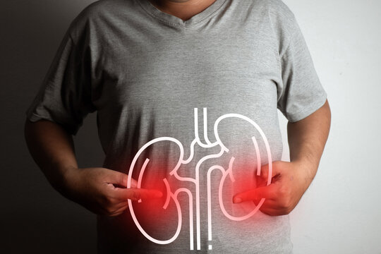 Close up of man suffering from flank pain or kidney disease with glowing human kidneys anatomy graphic on his back body. Nephrology disorder and medical health risk concept.