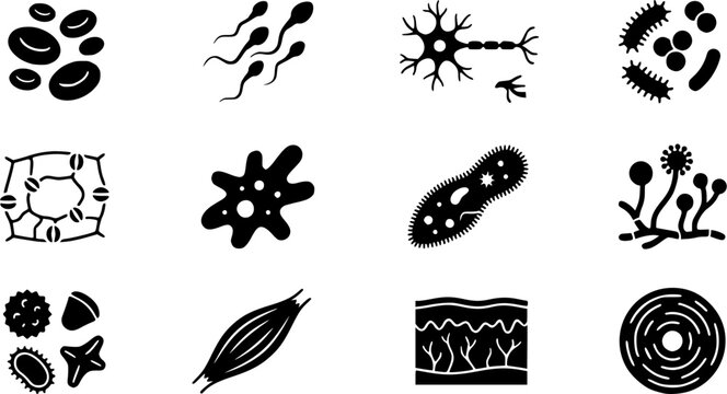 Microscope Slide Specimens silhouette icon set, flat black glyph style, pure white background