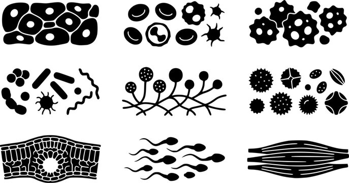 Microscope Slide Specimens silhouette icon set, flat black glyph style, pure white background