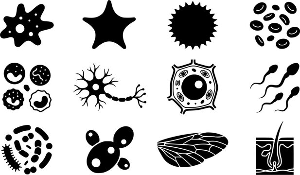Microscope Slide Specimens silhouette icon set, flat black glyph style, pure white background