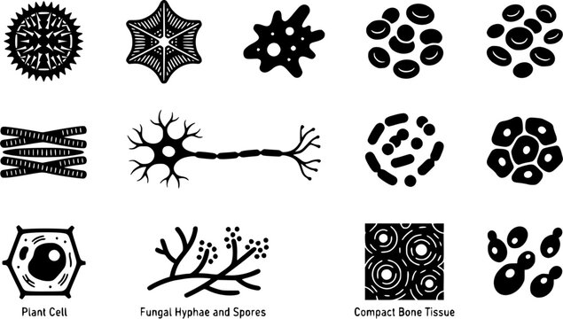 Microscope Slide Specimens silhouette icon set, flat black glyph style, pure white background
