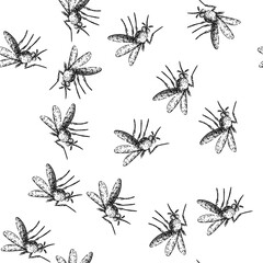 Obraz premium seamless pattern zika mosquito hand drawn. virus insect, control prevention, repellant breeding zika mosquito black sketch illustration