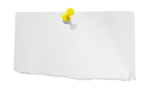 Torn piece of paper pinned with a push pin isolated on a transparent background.