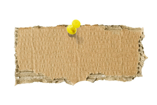 Torn piece of paper pinned with a push pin isolated on a transparent background.