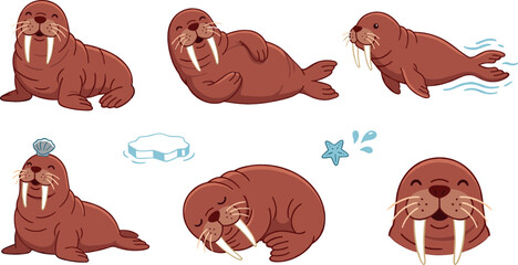  Cute walrus cartoon vector character set featuring various playful poses swimming sleeping sitting and rolling for children arctic nursery design collection © MstRowshanAra
