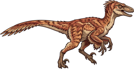 Feathered velociraptor dinosaur vector illustration featuring realistic prehistoric predatory theropod reptile running isolated on white background for educational graphics © MstRowshanAra