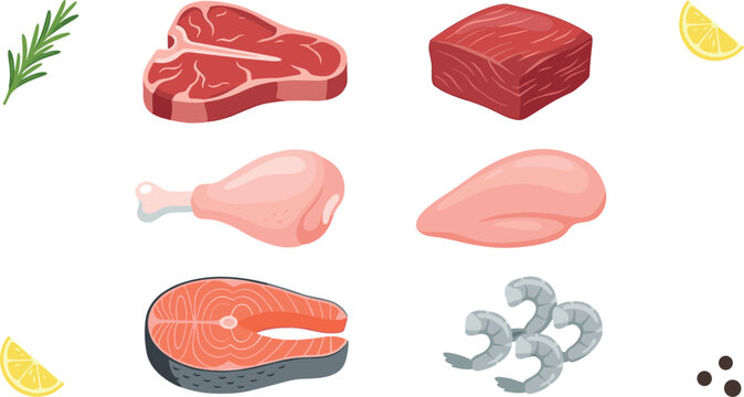 Raw meat fish and poultry vector illustration set featuring t-bone steak beef brisket chicken drumstick breast salmon steak and peeled shrimp