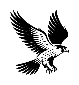 Vector of a flying hawk in with outstretched wings in mid flight.