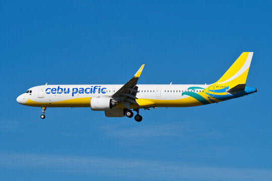 Cebu Pacific Airbus A321-200NX (RP-C4145) passenger aircraft on final approach with landing gear deployed at Narita International Airport