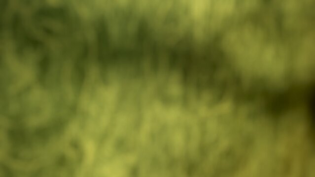 green blurry background