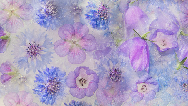background with abstract art with frosted purple and blue wildflowers