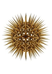 Obraz premium Golden Spiky Sphere Abstract 3D Render Isolated on White Background for Science and Technology Concepts