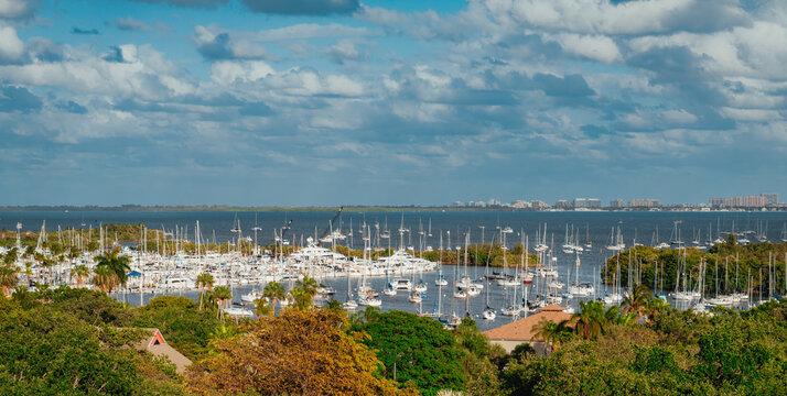 High angle view of Coconut Grove marina full of sailboats