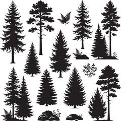 Evergreen coniferous trees and ferns silhouetted against a white background for graphic design elements © SDR