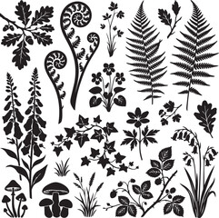 Forest botanical silhouettes including oak leaves fern fronds foxglove and mushrooms on white background © SDR