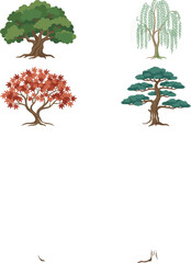 Fototapeta premium Various Tree Types Vector Illustration Set Featuring Oak, Weeping Willow, Red Japanese Maple, and Bonsai Pines for Landscape Design and Botanical Nature Graphics