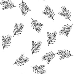 Fototapeta premium seamless pattern herb tarragon hand drawn. spice fresh, estragon food, plant leaf herb tarragon black sketch illustration