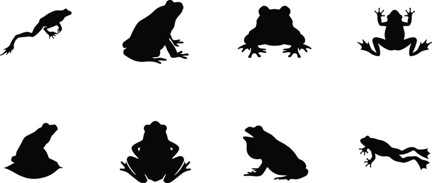Frog Silhouette Collection with Jumping Sitting and Croaking Amphibian Poses