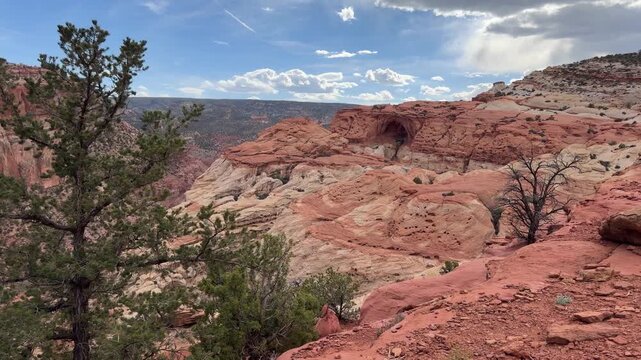 Capitol Reef, Utah - View of Cassidy Arch from the Grand Wash Trail
