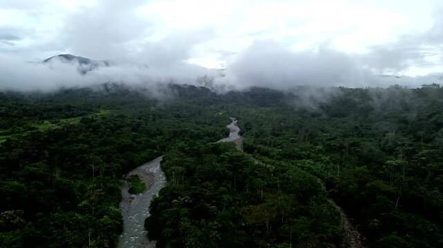 Aerial View of Winding River Through Misty Tropical Forest in Ecuador, Low Clouds, Green Valley, Remote Rainforest Landscape and Nature Travel Background
