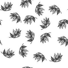 Naklejka premium seamless pattern leaves maple leaf hand drawn. vector , red fall leaves maple leaf black sketch illustration