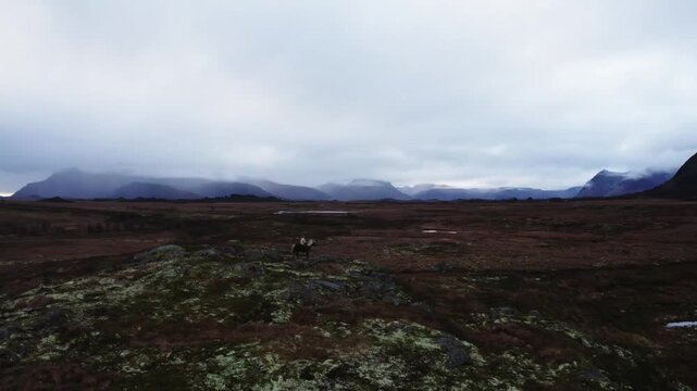 Tracking extreme wide shot of a woman sitting on a dark brown horse standing in a vast barren valley, with mist-covered mountains in the distance, creating a cinematic wilderness scene.