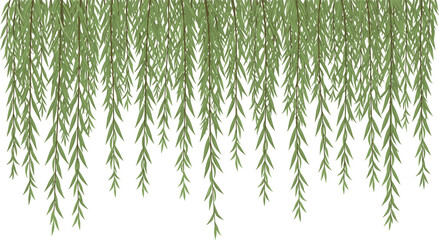 Hanging Willow Branches Border Element with Cascading Green Foliage for Botanical Decor and Nature-Inspired Graphic Design © MstAnjuAra