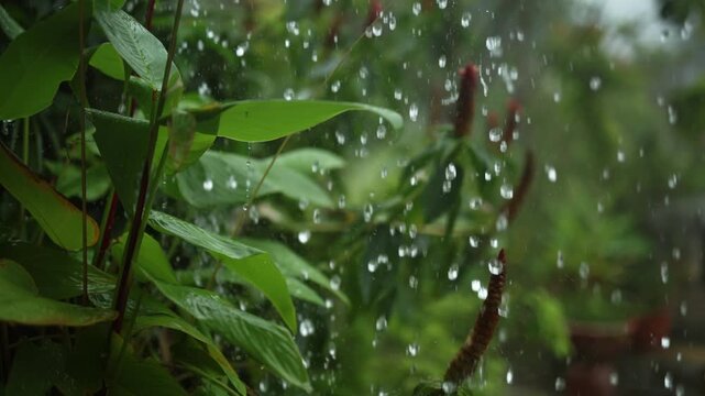 Heavy rainfall dropping extreme weather impact natural disaster water texture background