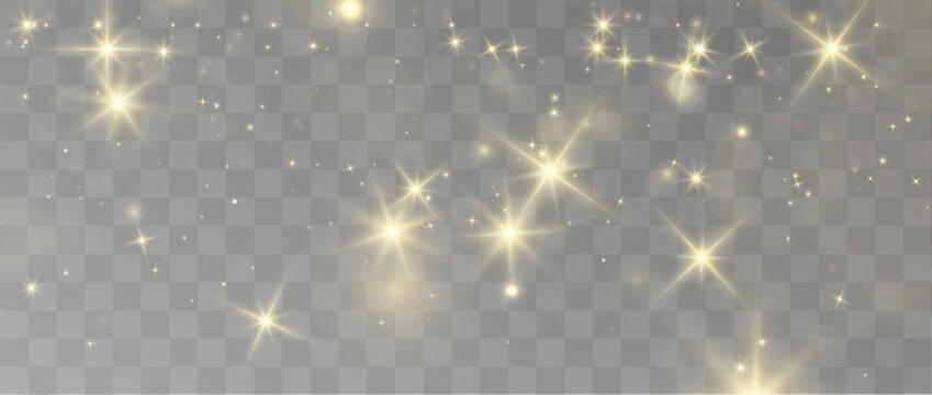 Yellow vector dust floats gently across a transparent background. Tiny luminous particles create elegant flowing movement. Warm glowing accents add depth and visual richness.
