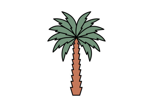 Palmera datilera ex&oacute;tica aislada con hojas 