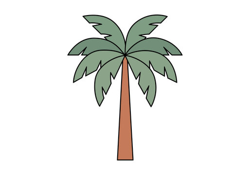 Palmera tropical ex&oacute;tica aislada con hojas verdes