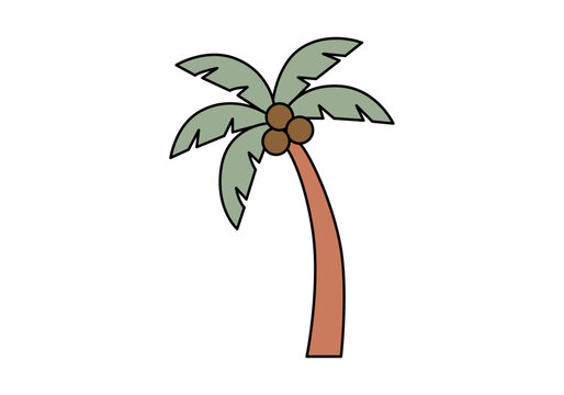 Palmera tropical con cocos aislada