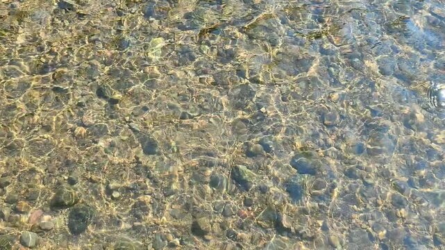 Shallow Clear River Water Over Dense Pebble Bed with Sunlight Reflection Texture