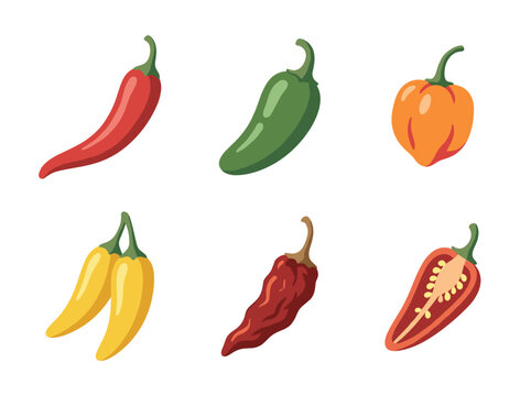 Set of hand drawn chili pepper icons, spicy vegetable vector illustration isolated on white background
