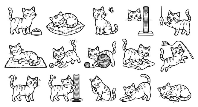 American Shorthair Cat Head and Full Body Cartoon Black Line Illustration Collection