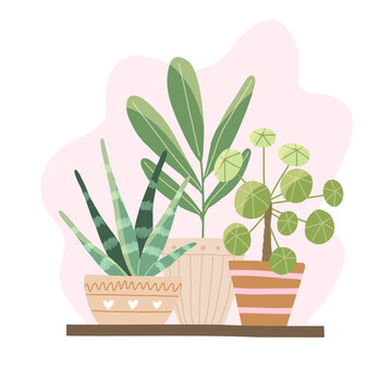 House plants in ceramic pots, hand drawn. Cute interior wellness elements. Hand drawn vector in simple style
