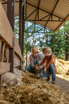Father son and dog bonding at farm