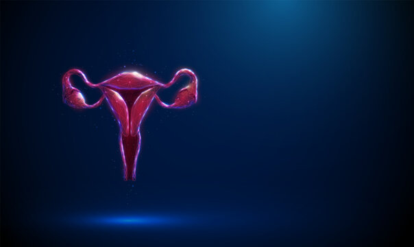 3D blue uterus. Reproductive health, gynecology, fertility, women wellness, hormonal balance, anatomy, organ, menstruation, pregnancy, ovary, female biology concept