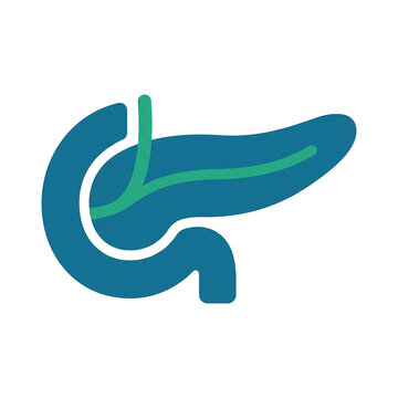 Pancreas Organ Body Part Illustration.