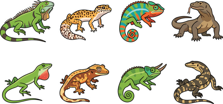 Lizards and reptiles vector icon set featuring iguana gecko chameleon and monitor lizard illustrations