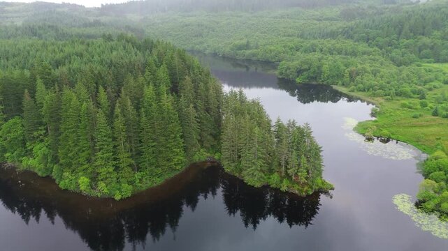 Loch Ard drone descent reveals a dark freshwater loch bordered by dense pine forest peninsula and green Highland hills, with shoreline reflections and summer wetlands.
