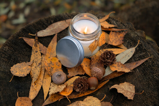autumn background. glass jar candle holder decorated yellow leaves, fallen dry foliage, cones, acorns on stump close up. decor for mabon, samhain, halloween, thanksgiving, fall seasonal holidays.